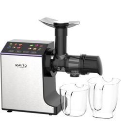 Slow Juicer, Masticating Juicer, Stainless Juicer with 2 Speeds Modes, Touchscreen Cold Press Juicer, Juicer Machines Vegetable and Fruit, Juicers Eas