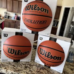Wilson Evolution Basketball
