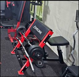 Syedee Olympic Preacher Curl Bench ONLY – Excellent Condition