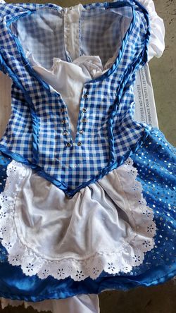 girls costume for a 2 year old