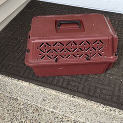 Kennel