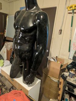 Male Mannequin
