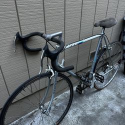 Rare Vintage Schwinn Premis Road Bike