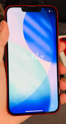 Apple 13