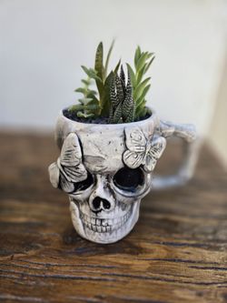 Butterfly Skull Mug Planter"