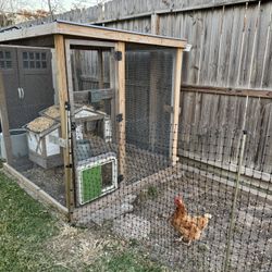 Deluxe Walk-In Chicken Coop with Automatic Timer Door + Run Fencing – Everything You Need