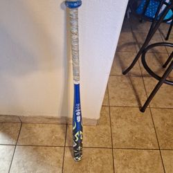 WORTH  MAYHEM SLOW PITCH SOFTBALL BAT  34/26oz. $80. FIRM 