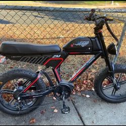 Fat-Tire 750w Electric Bike...