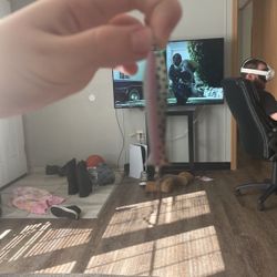 Fishing Lure