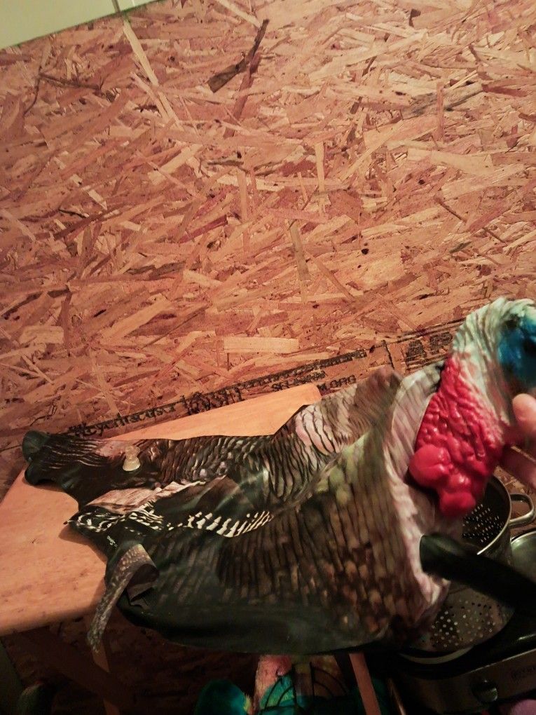 Cherokee Sports Inflatable Turkey Decoy With A Stand