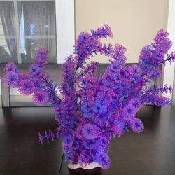 Aquarium Accessories