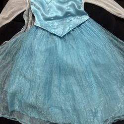 Disney Park Elsa Dress Size 5t