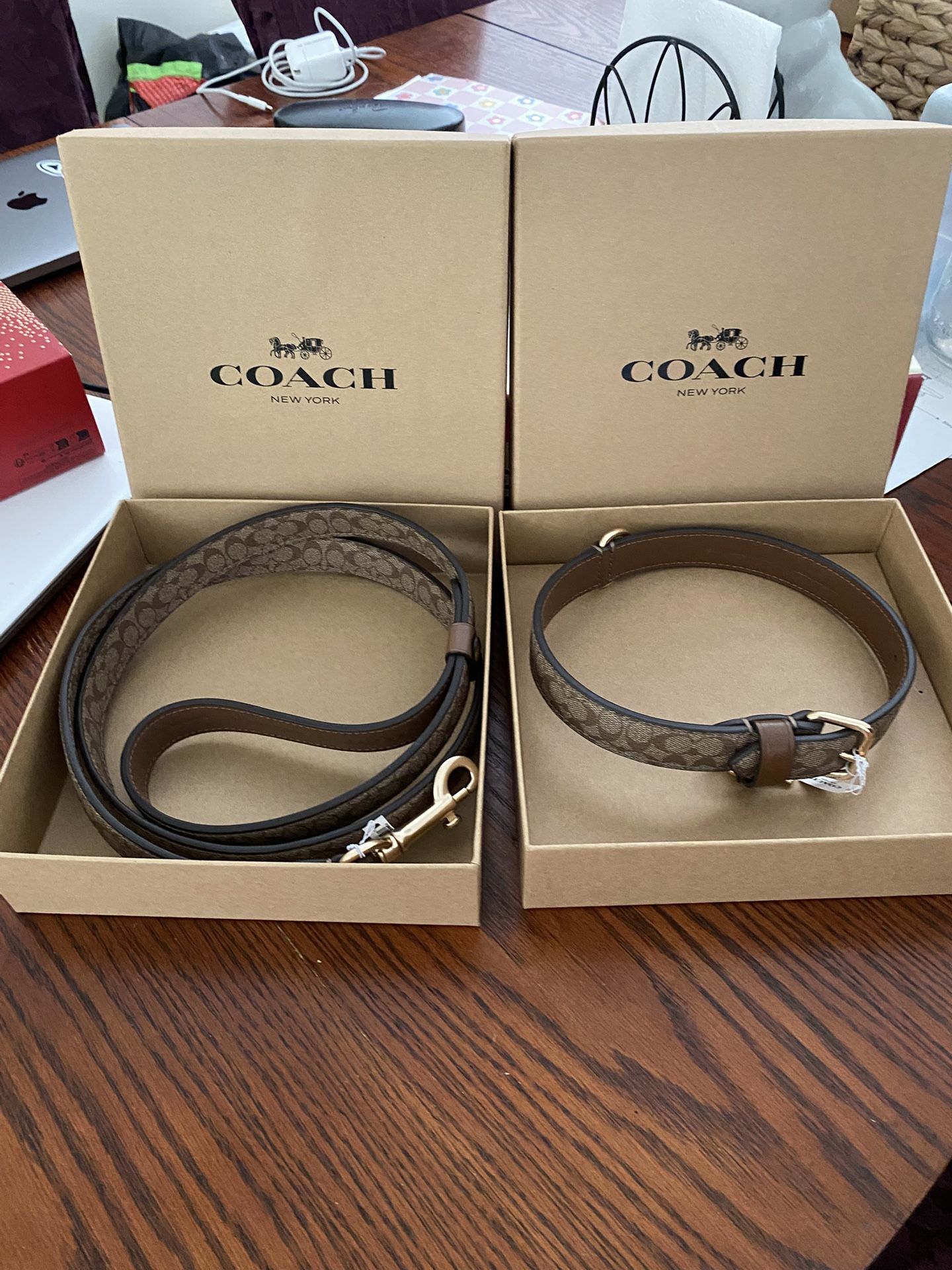 Coach Dog Leash And Collar Large