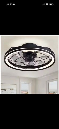 WDETR 19 in. Indoor Black Caged Modern Ceiling Fan with Integrated LED Light