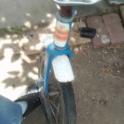 HEDSTROM  COASTER RIDE AIR BRAKE  KIDS BIKE