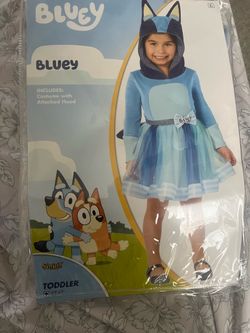 Bluey and Bingo Costumes