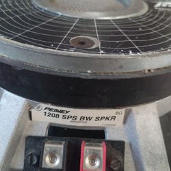 legendary 12"  black widow speaker