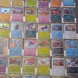 Pokemon Card Collection