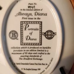 Collector Plates 