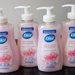 Dial Handsoap Bundle | $5