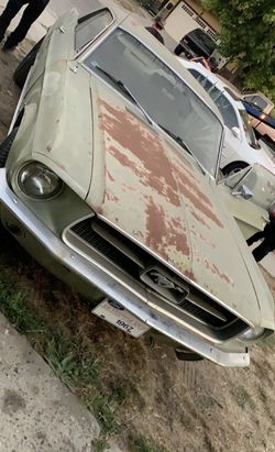 Mustang V8 1967