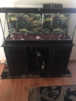 55 gallon fish tank with stand