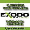 Exodo Pest Control 