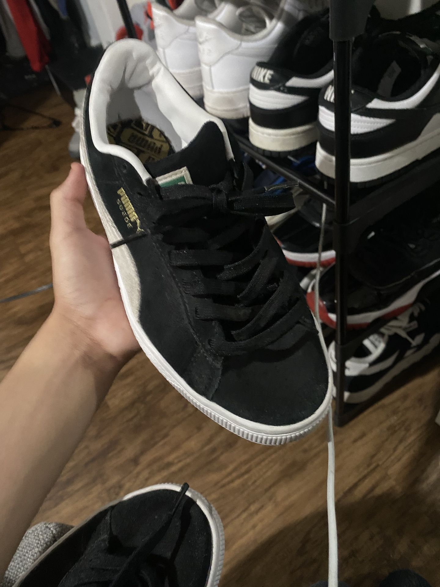 Puma
