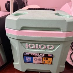IGLOO COOLER