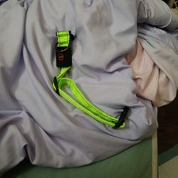 Led Light Up Collar 