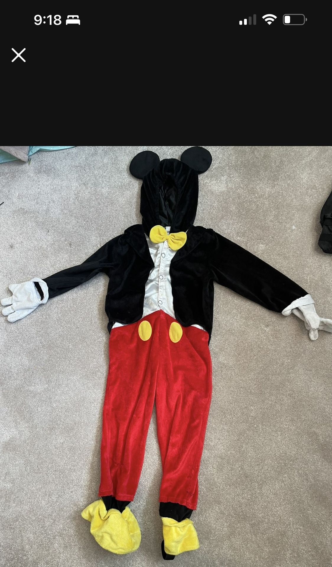 Mickey Costume