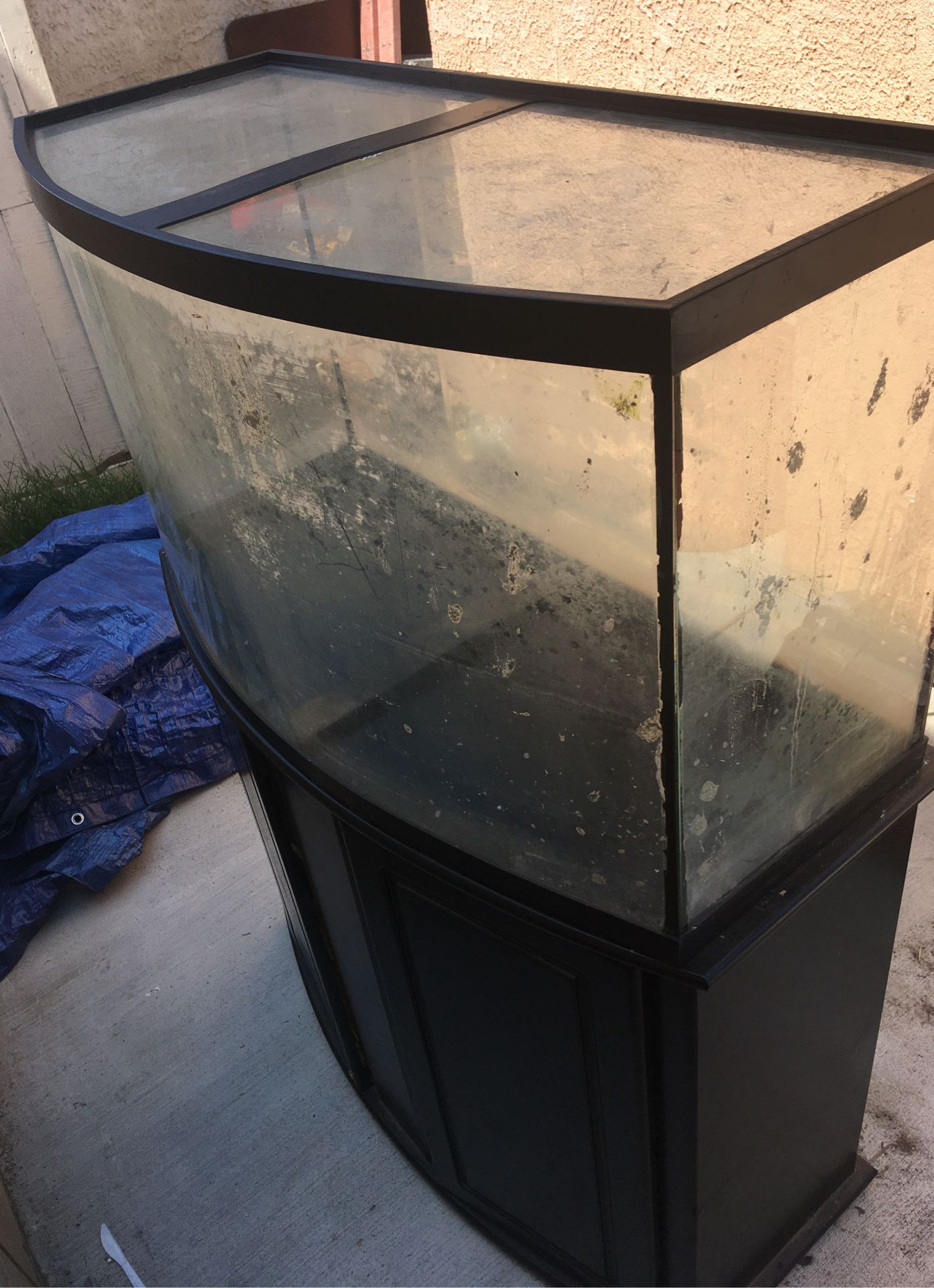 65 gl Bowfront aquarium with stand and lid