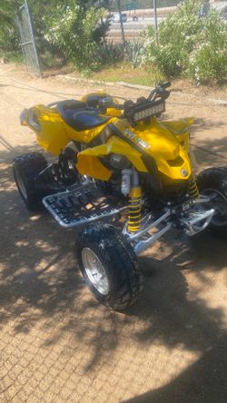 2010 Cam-am