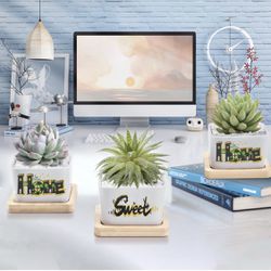 New Home Housewarming Gift, Home Owner Couple Gift Ideas, Personalized Home Sweet Home Succulent Pots Present for First Home Buyer,  for New Home