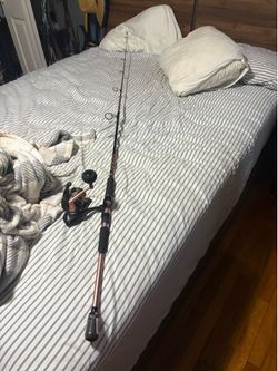 Penn Passion 2 5000 combo new
