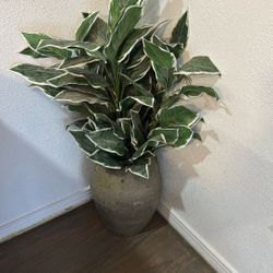 Faux Plant