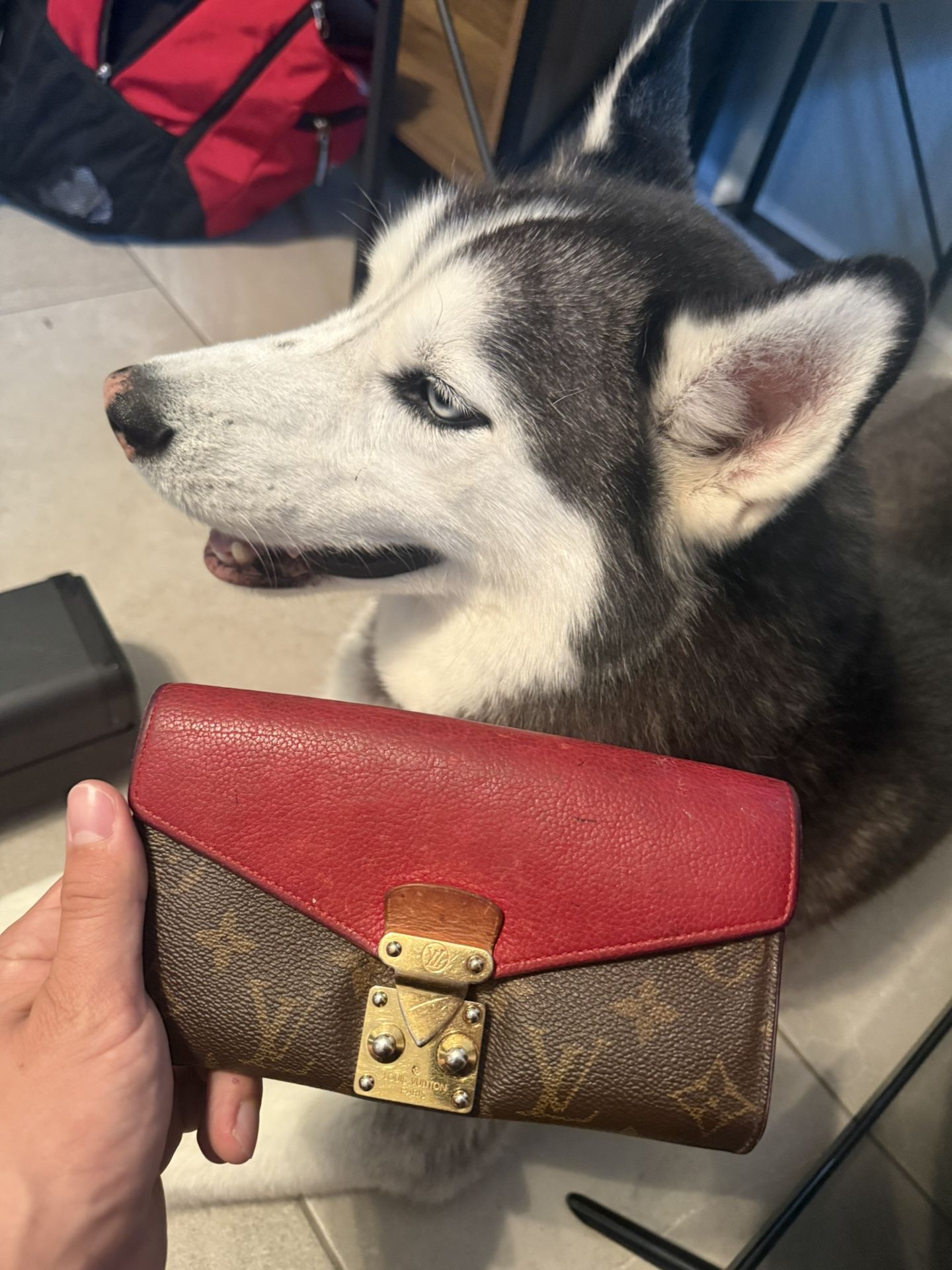 Louis Vuitton Wallet