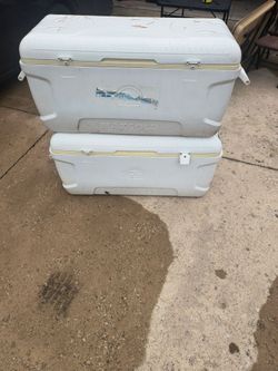 Two 70 Quart Igloo Coolers