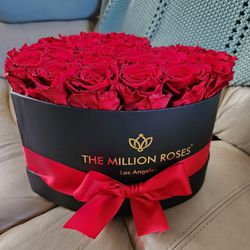 The Million Roses - Rose  Scented
