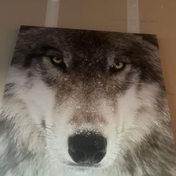 Wolf Painting 