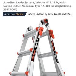 Multi Position Ladder System