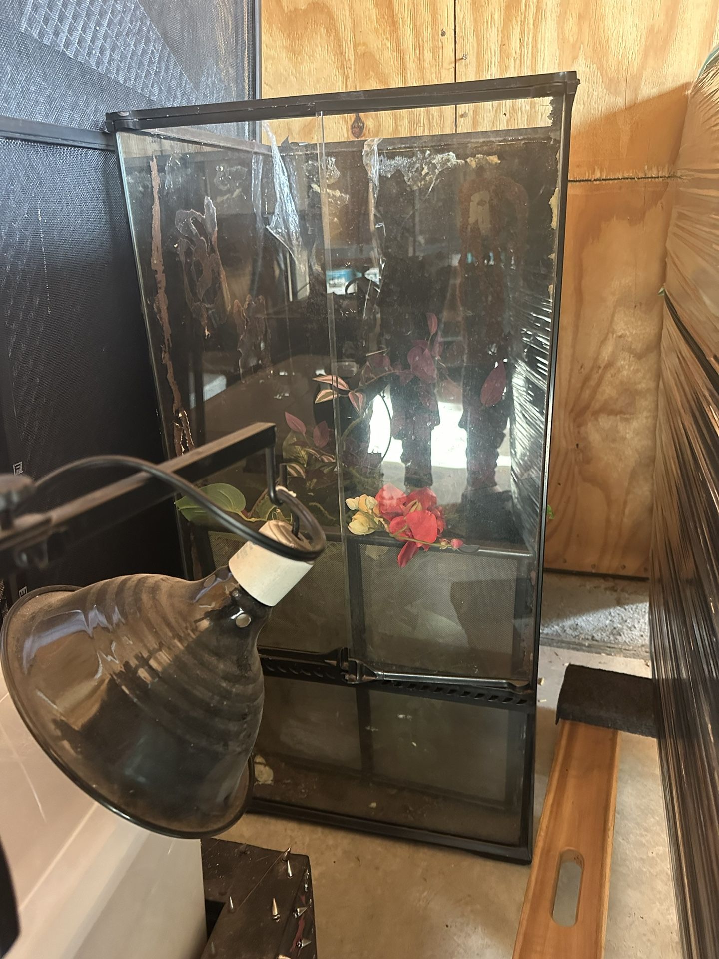 Large Glass Terrarium