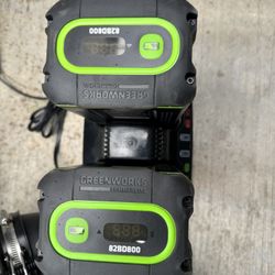 Green works Comercial Blower