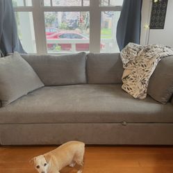 Costco Pull Out Couch/Sofa
