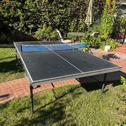 Ping Pong Table