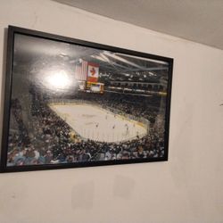 Hockey Picture