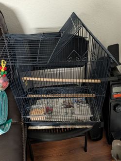 Bird cage