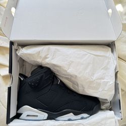 Jordan 6 Chrome