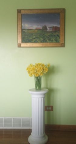 PLANTS - Reasonably Priced 