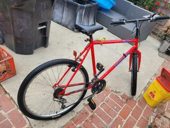 Schwinn Bike